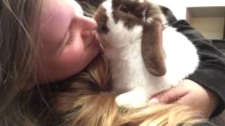 Milo the rabbit giving me kisses