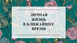 ЛИЧНАЯ ЖИЗНЬ В БЛИЖАЙШЕМ БУДУЩЕМ. ТАРО ОНЛАЙН #тароонлайн #онлайнгадание #тарорасклад