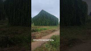 Просто БЕЛАРУСЬ.