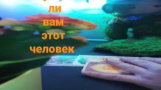 #таро нужен ли он вам?