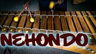 RHYTHM  IN AFRICA THEME SONG - Nehondo