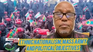 Ethnic nationalism, mass army and political objectives Nasir Kalil