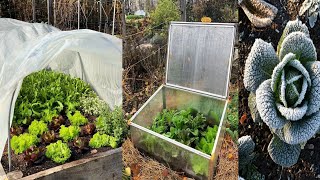 Fall Gardening Tips to Extend Your Growing Season/Fall garden