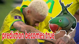 Croatia VS Brazil prediction  COMES TRUE || Croatia VS Brazil prediction in fifa world cup 2022