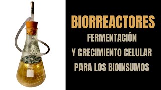 Biorreactores, fermentación y crecimiento celular #bioinsumos #ecuador #bioinsumosecuador