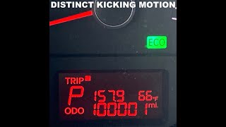 Distinct Kicking Motion - One Hundred Thousand One