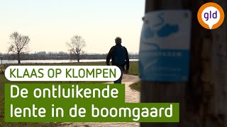 Het Moas-Wetteringpad: Langs de wateren van Alphen aan de Maas | Klaas op Klompen