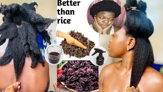 HOW TO: use cloves & hibiscus for HAIR GROWTH in 2 weeks#simplychisom #naturalhair #cloves