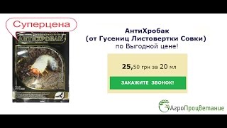 Купить Средство от Гусениц, Листовертки, Совки. АнтиХробак