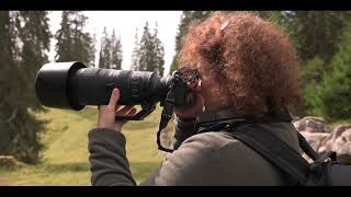 Les Nikon Z6II et Z7II en Macrophotographie et Image de Nature par Myriam Dupouy