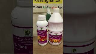 Hi Phos of Swat agro is best alternative of typical phosphorus fertilizer with magnesium, potassium