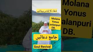 Molana Yonus palanpuri DB status -#shorts#islamicshorts #shortsfeed #ytshorts #viral #watsappstatus