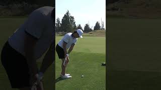 Best eagle on YouTube?!?