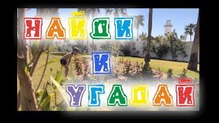 Челлендж Найди и Угадай  |  Игры для детей на улице | Территория отеля Albatros Palace Sharm 5*