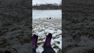 No much snow but the kids wanted to sled before it was all gone beautiful #doinglittle