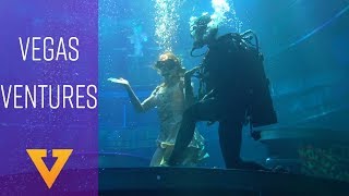 Vegas Ventures Ep.1: Le Reve