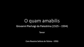 O quam amabilis - Palestrina - Tenor