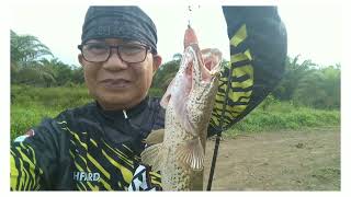 Banjir banyak ikan gabusnya 👍Sisit Kada Baampihan 👍👍👍