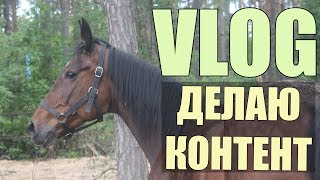 VLOG С КОНЮШНИ || ДЕЛАЕМ КОНТЕНТ