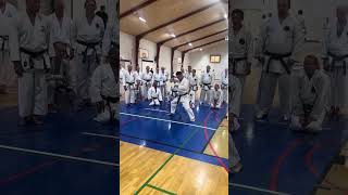 Yamaguchi-Sensei demonstrating jodan-barai soto-uke part of kata junro shodan