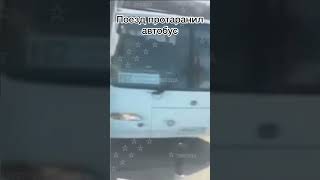 Поезд протаранил Автобус. #новости #россия #москва #питер