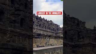 BIGGEST Buddhist temple in the WORLD❗️❗️❗️#shorts #trending #borobudur #indonesia #history #religion