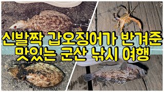 신발짝 갑오징어 & 우럭이 쉬지않고 반겨준 맛있는 군산 루어 낚시 여행 [ Lure Fishing TOUR ] 피싱브이로그