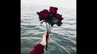 رمزيات ورد 🌹🥀