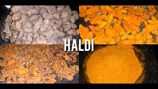 Homemade Turmeric Powder | Haldi Recipe | ASWI Kitchen