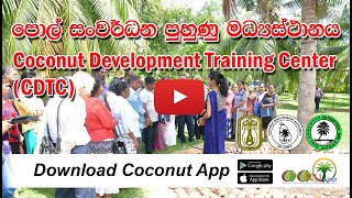 පොල් සංවර්ධන පුහුණු මධ්‍යස්ථානය - Coconut Development Training Center (CDTC)