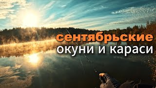 Осенний клёв: Успешно ловлю КАРАСЯ. ЖОР ОКУНЯ на Живописном озере! #мормышинг #рыбалка