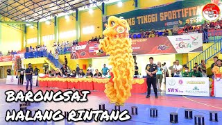 BARONGSAI HALANG RINTANG | INTERNATIONAL LION DANCE CHAMPIONSHIP MEDAN