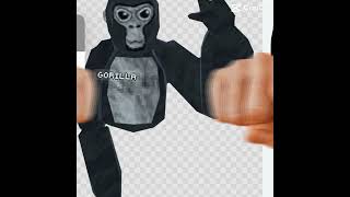 #gorillatagj