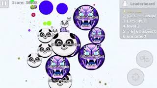 Agar.io