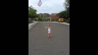 Go Fly a Kite