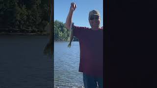 Target walleye- to small