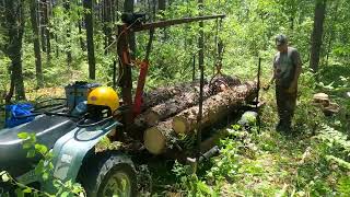 Harvesting Logs To Build Our Off Grid Post And Beam Building