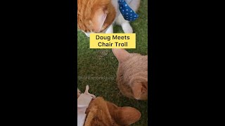 Doug Meets Chair Troll