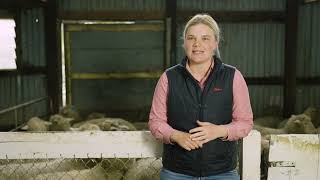 An interview with Molly Kalman, Elders Livestock Production Specialist from Naracoorte.