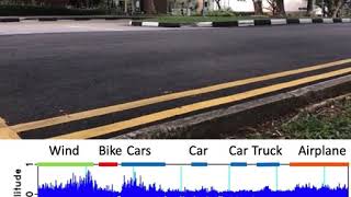 Video and seismic recordings of road traffic and airplane