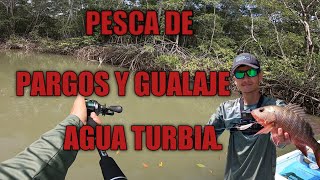 pesca de Pargos y Gualaje en Aguas Turbias, en los esteros de Puntarenas.