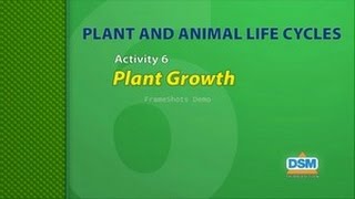 Plant and Animal Life Cycles - Activity 6: Plant Growth