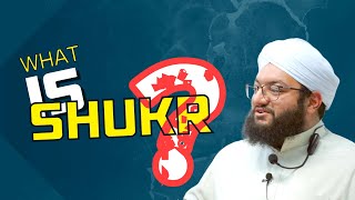 What's Shukr | Maulana Anis Ahmed