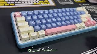 New Arrival SA profile Double shot keycaps ABS Monster Flamingo By the Sea Godspeed GMK theme