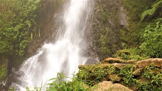 AIR TERJUN SELO BRONDOL #shorts