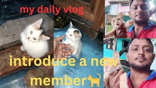 নতুন সদস্য/introduce new member#bengali#cat#youtuber