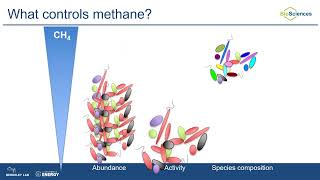 2022 EMSL Summer School Day 4: Microbial drivers of methane emissions from wetlands