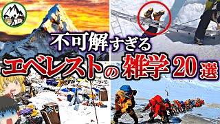 【大人の教養】世界最高峰エベレストの雑学20選！ヒマラヤ8,000m峰の山頂にアンモナイトの化石がある理由を説明できない人は絶対に見てください。【ゆっくり解説】