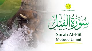 MUROTAL SURAH AL-FIIL (GAJAH) | METODE UMMI