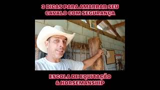 3 dicas para amarrar seu cavalo com segurança e conforto